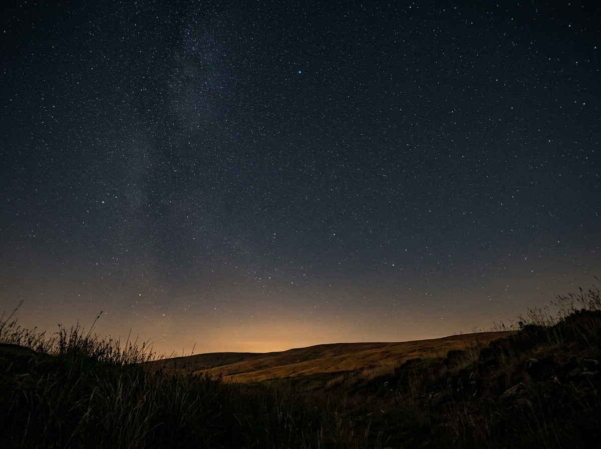 A real night sky of fine stars over a dark rural horizon, the sky a birth chart is mapped from